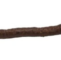 Omc 1960.713.001 (1) Edited